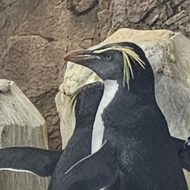 Ｓ－ｚｏｕ（えすぞう）のプロフィール画像