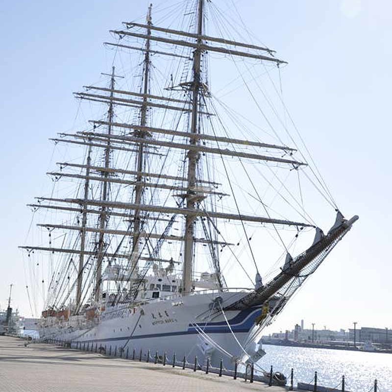 ハッピーロードのプロフィール画像