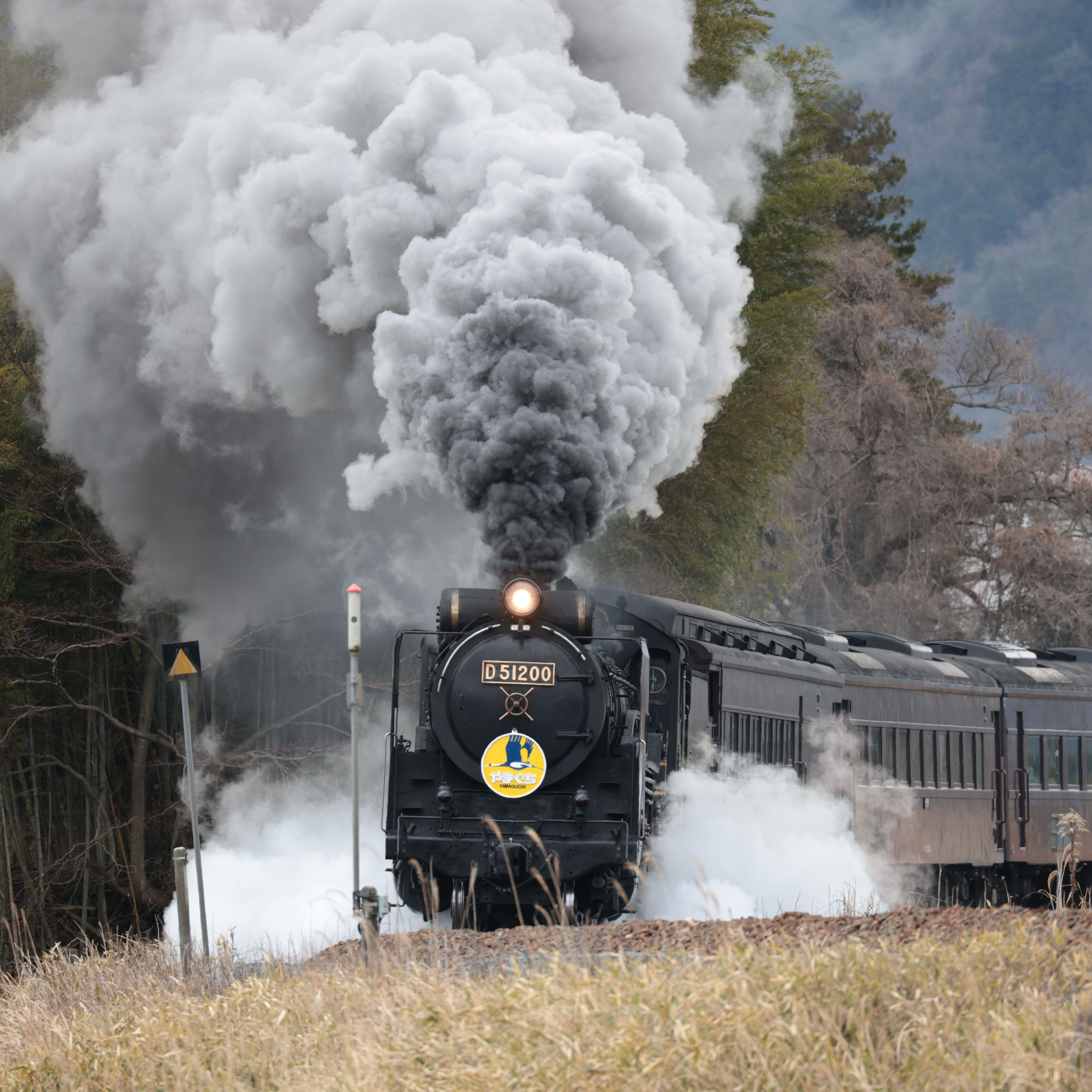 プロフィール写真