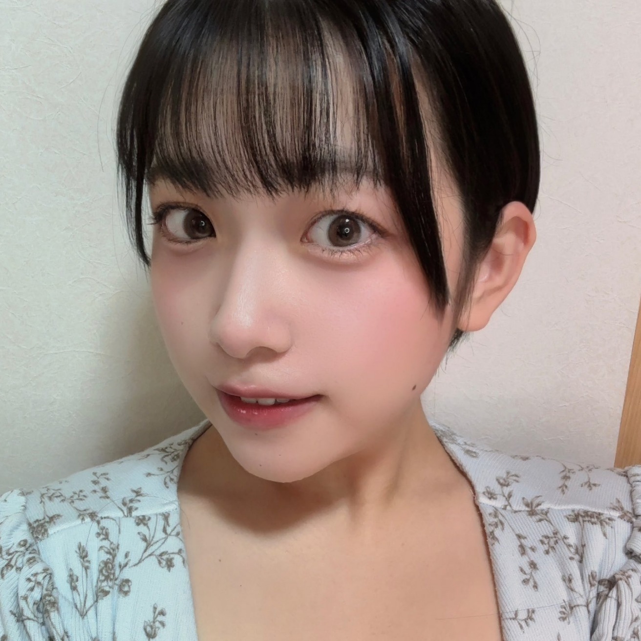せすにゃん🌛つき 🐄愛生 🍑桃 🐰ひびき 🌅ちゃんひー＆♡琴々菜のプロフィール画像