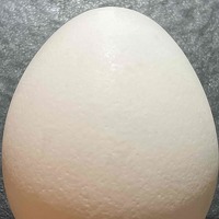 プロフィール