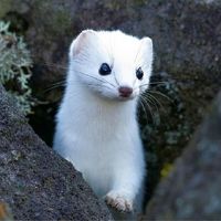 プロフィール