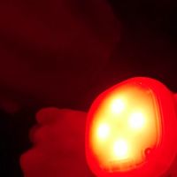 talent_img_url