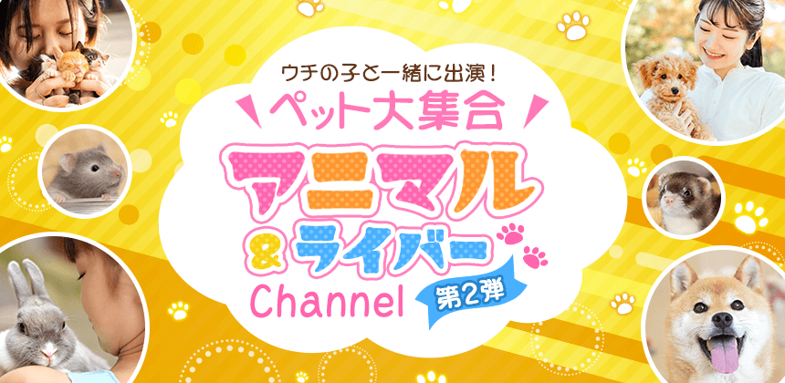 アニマル&ライバーチャンネル第2弾
