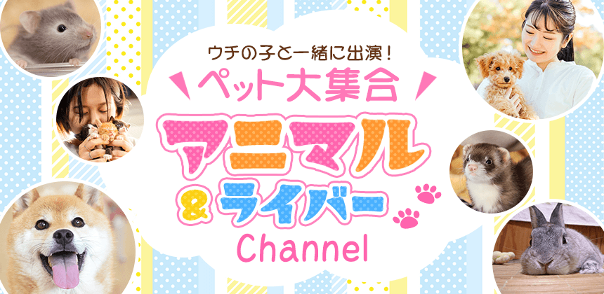 アニマル&ライバーチャンネル