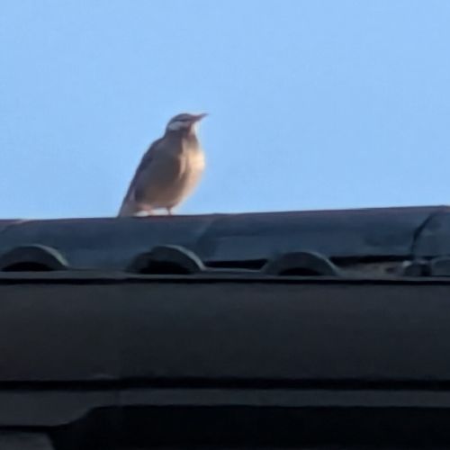 プロフィール写真