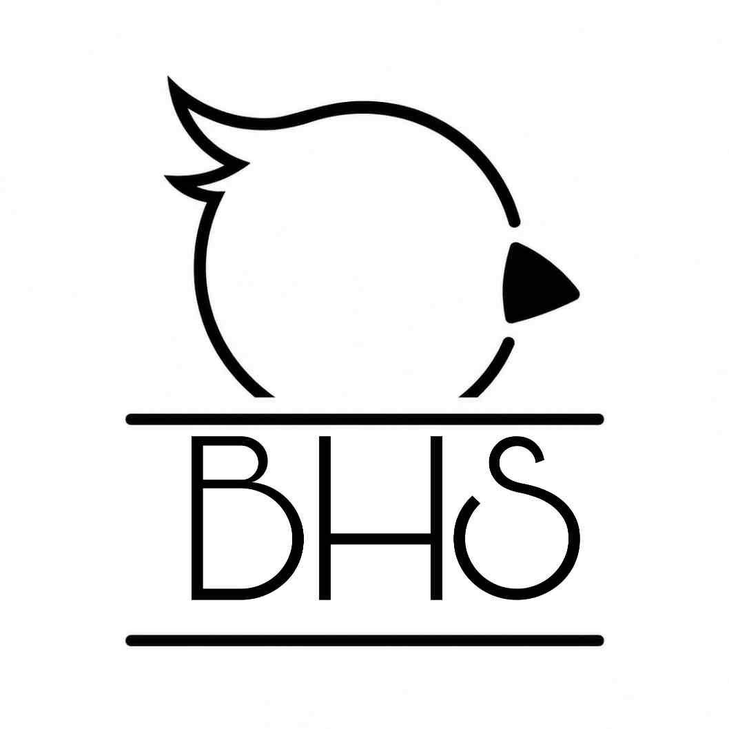 ꉂ⸌⍤⃝⸍｡oO(ﾌﾞﾝﾁｮｳﾉﾊﾄ@BHS🕊🫧のプロフィール画像