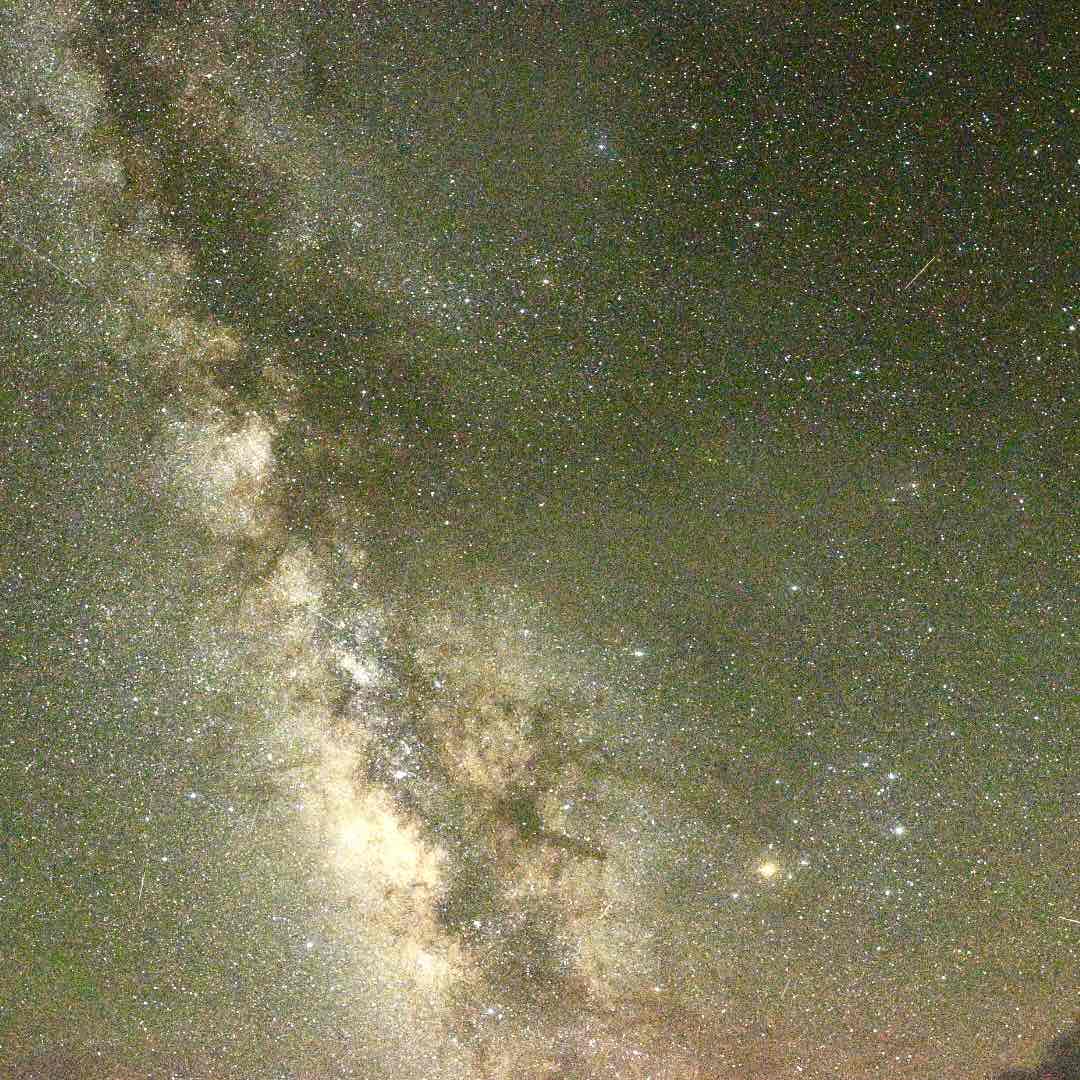 プロフィール写真