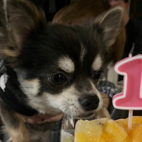 まなみちゃん🌳🌟のプロフィール画像