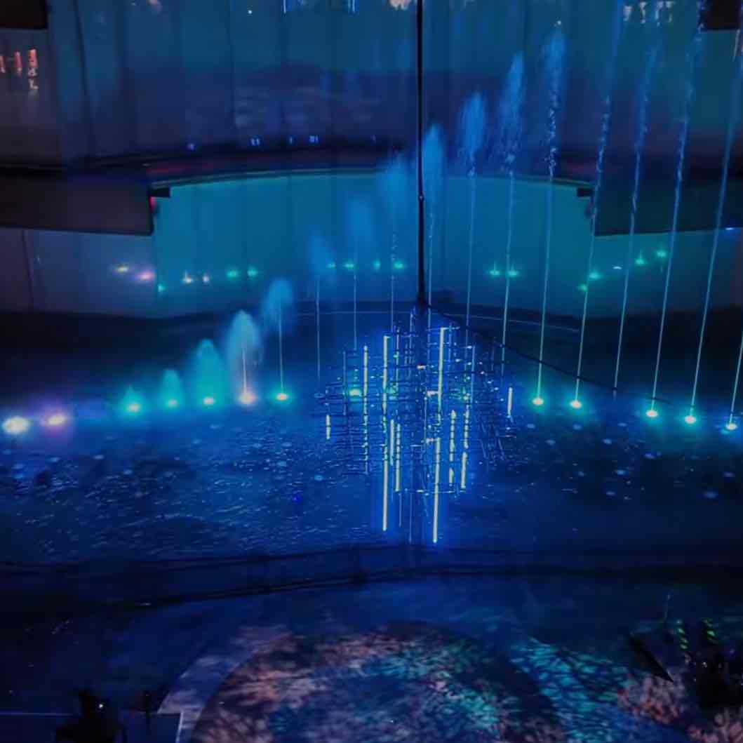 🦄せいー福岡🐟🦄🪄のプロフィール画像