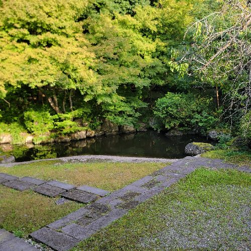 まだないのプロフィール画像