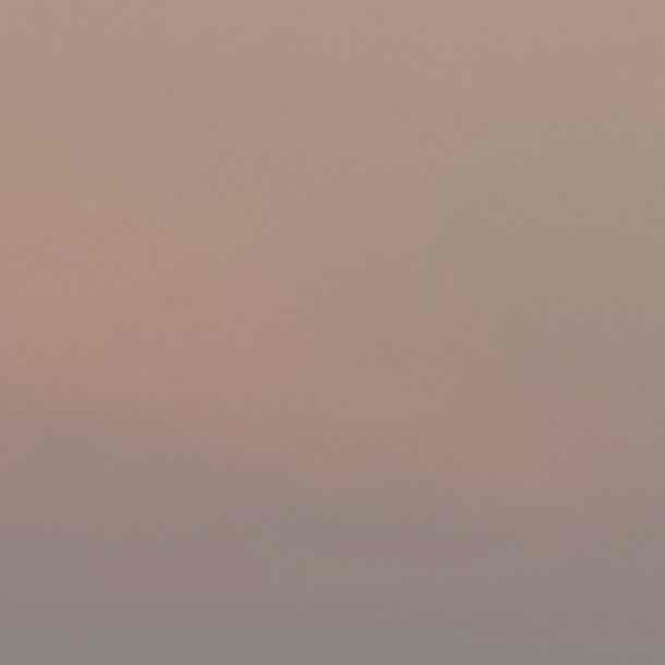 にゅのプロフィール画像