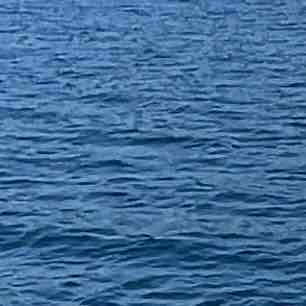 炭酸温泉のプロフィール画像