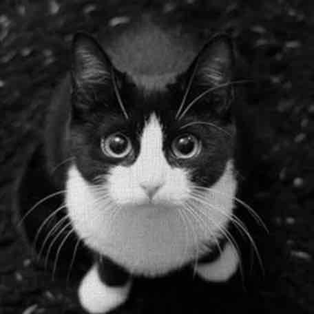 黒のプロフィール画像