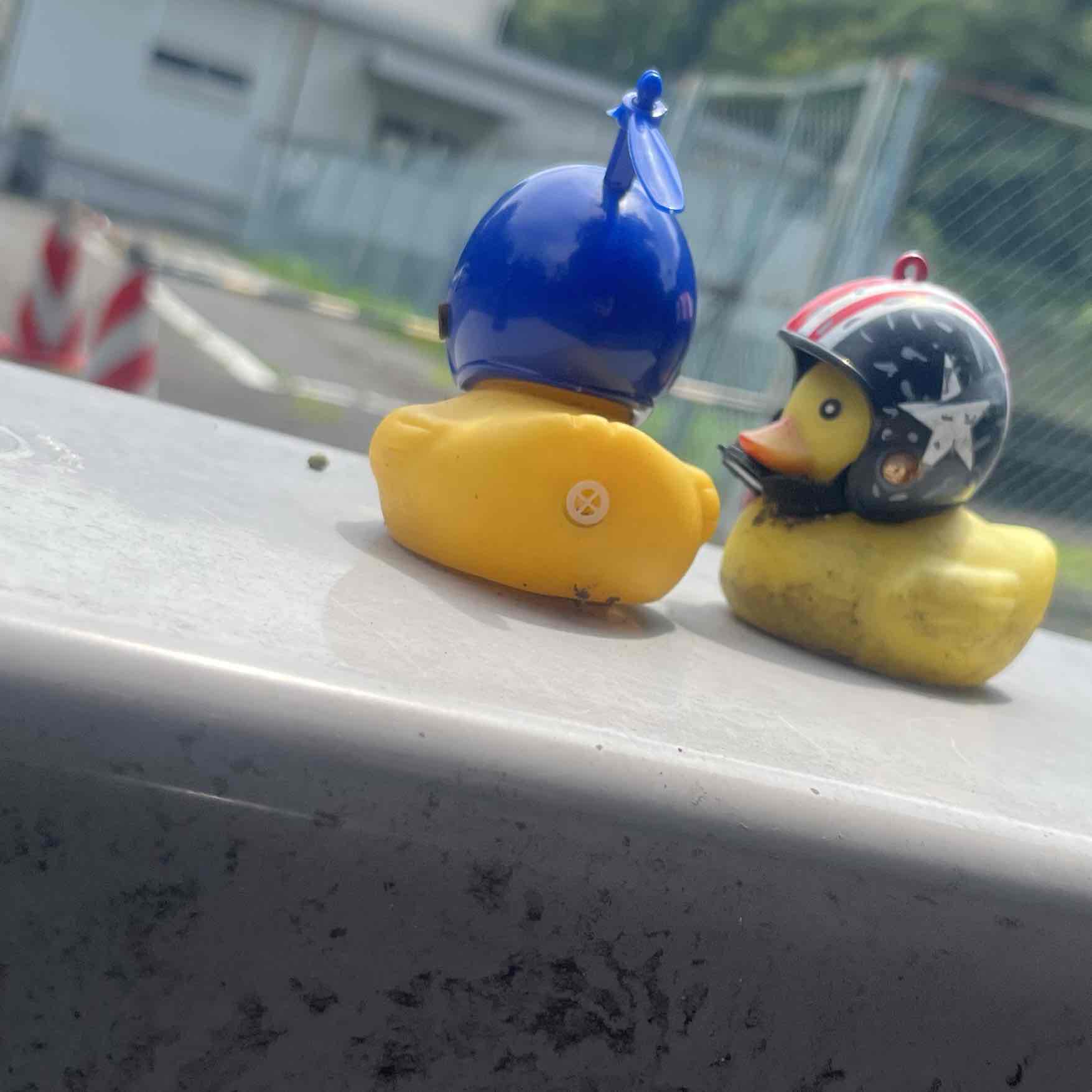 肉のプロフィール画像