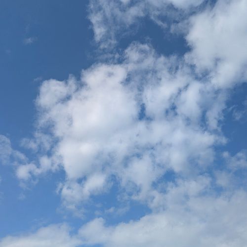 菜々子のプロフィール画像