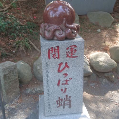 🧜‍♀️開運ひっぱり瑶佳姫🥟👑⛰️🌻🍀❤️🎋🐼のプロフィール画像