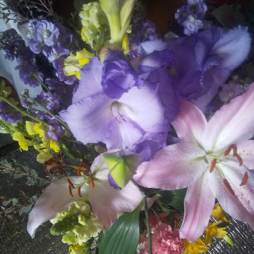 プチプチのプロフィール画像