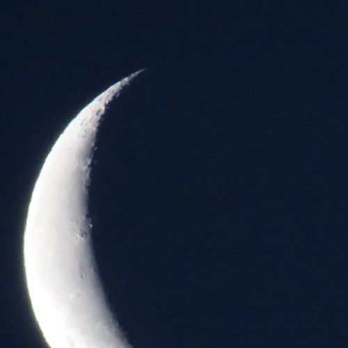 シオン💖🐈️🦒🍁🎳🍺💟のプロフィール画像