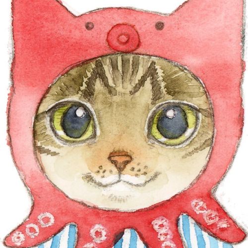 カズヲミのプロフィール画像