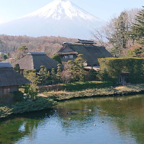 夢仙人🎣💓‪🐨のプロフィール画像