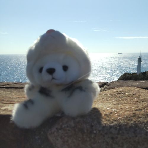 はやちゃんのプロフィール画像