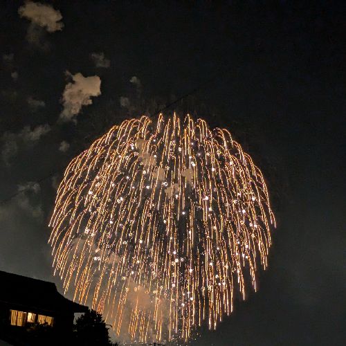 しおりちゃん⛸️🍟のプロフィール画像