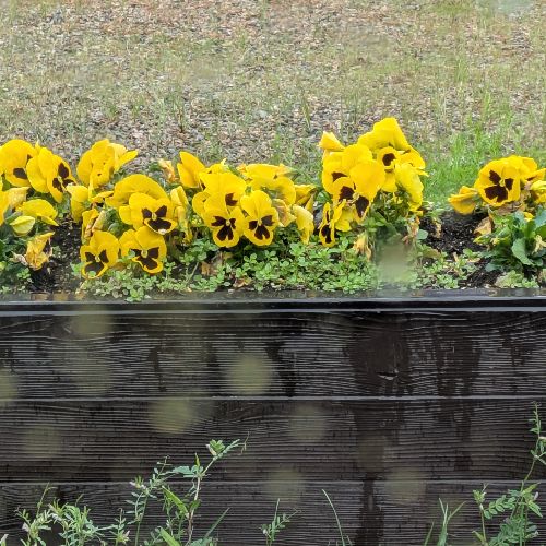 無音🔇みーたん(ぴろみ＆おゆき⛄️🐙⛄＆ぬー子＆悠帆＆米田)のプロフィール画像