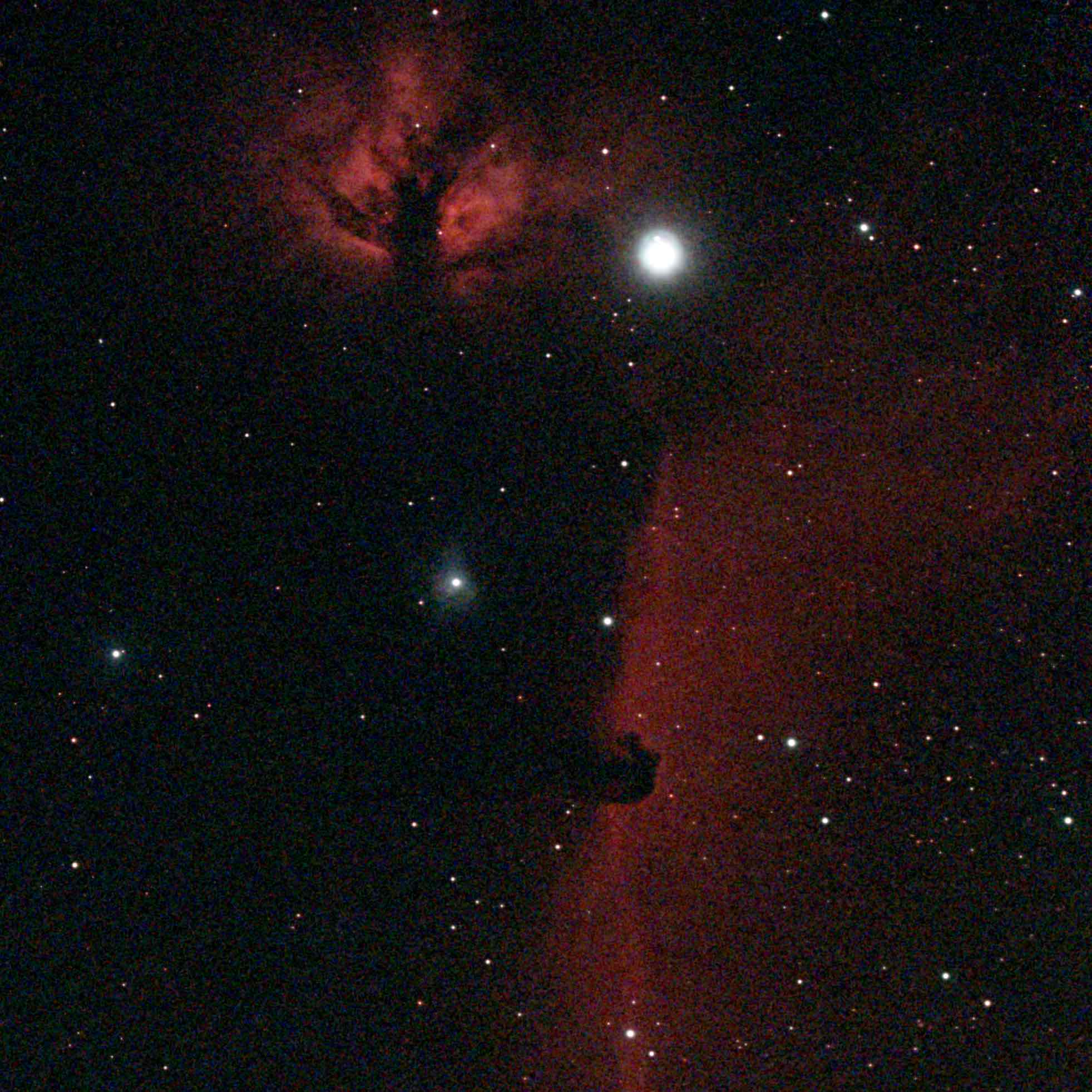 ハインリヒ ⭐️のプロフィール画像