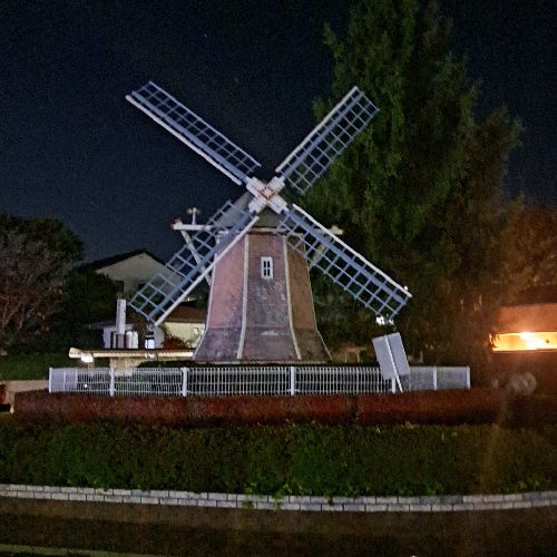 よっチーのプロフィール画像