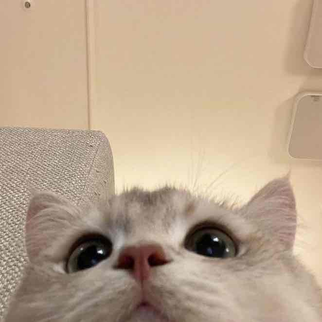 あおいのプロフィール画像