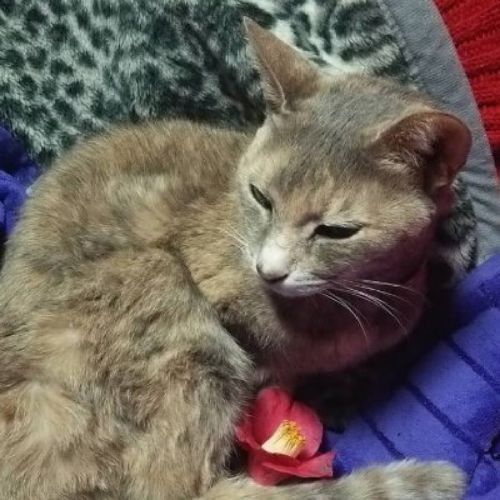 😺のプロフィール画像