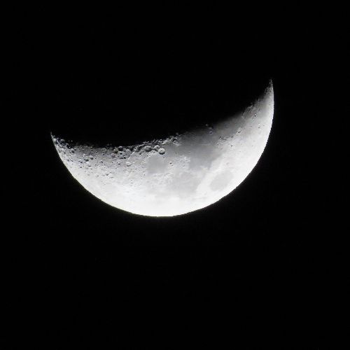 かえでたんのプロフィール画像