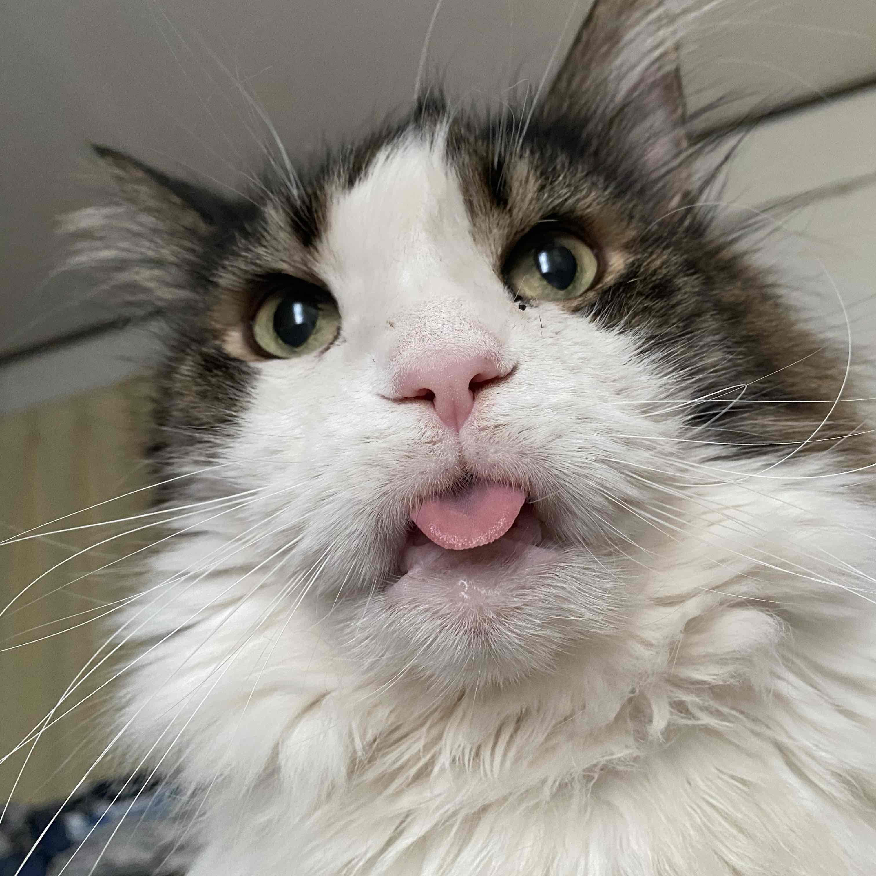 ぜんぶのプロフィール画像