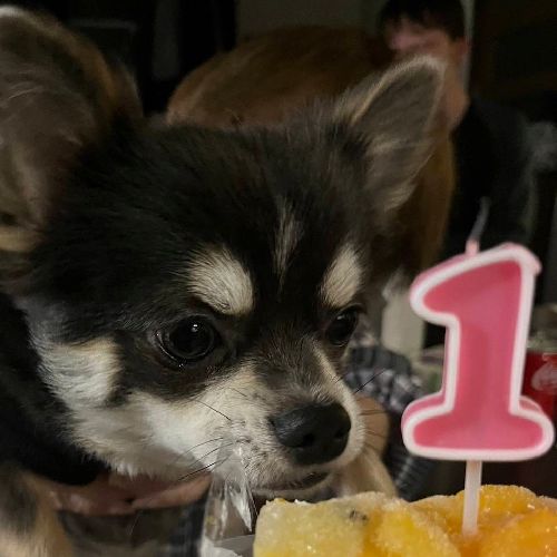 まなみちゃん🌳🌟のプロフィール画像