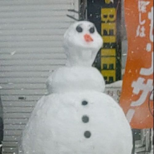 🐮マシリ㌧🔥🐓🌊のプロフィール画像