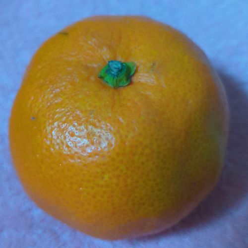 あいのプロフィール画像