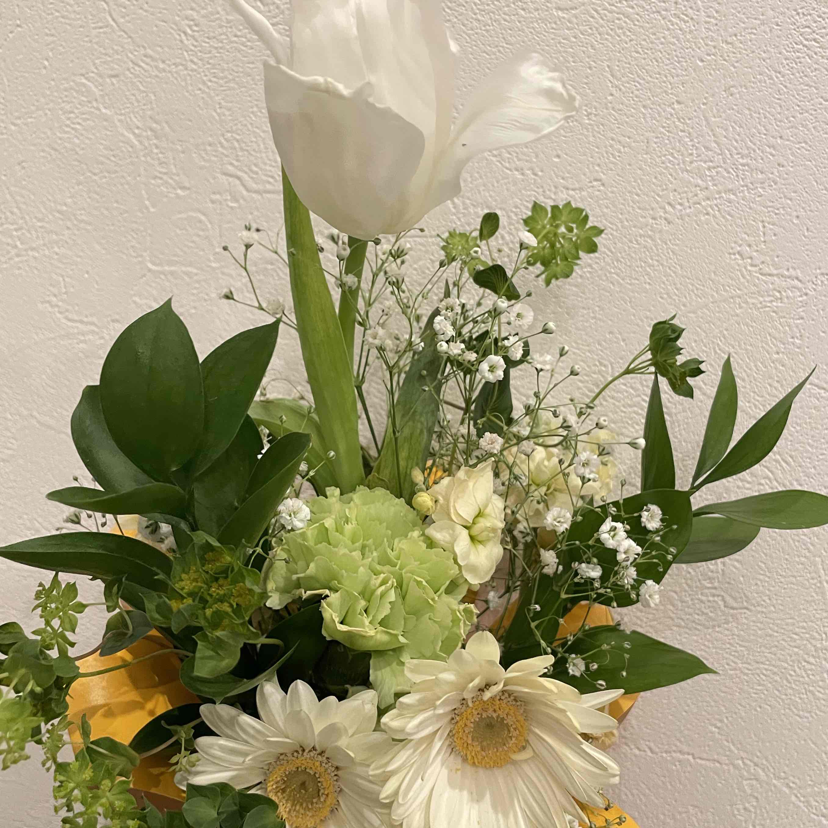 ぬー子のプロフィール画像