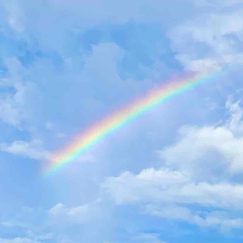 🌈takakoいちご一会に感謝𓃵🪄⭐︎꙳★𖤐のプロフィール画像