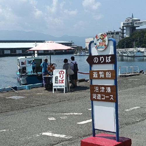 ふじやん⛰️🌻🍀❤️🎋🐼のプロフィール画像