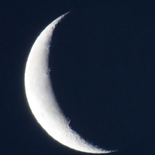 かえでたんのプロフィール画像