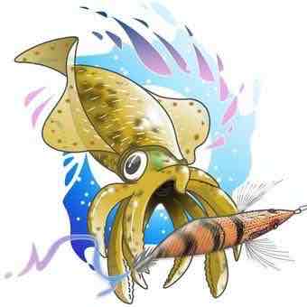 🦑ティップランナー🦑のプロフィール画像