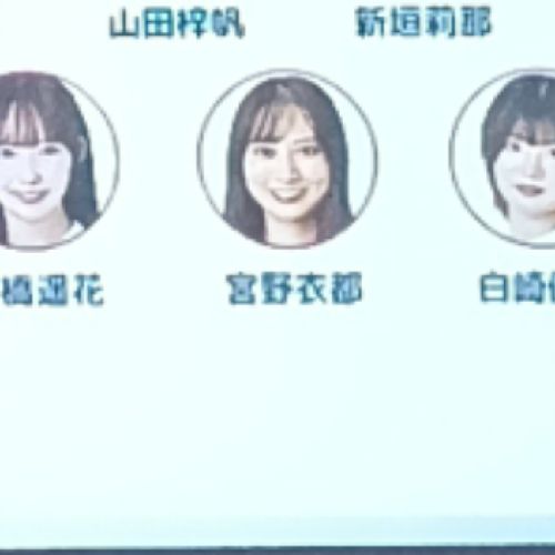 ふじやん⛰️🌻🍀❤️のプロフィール画像