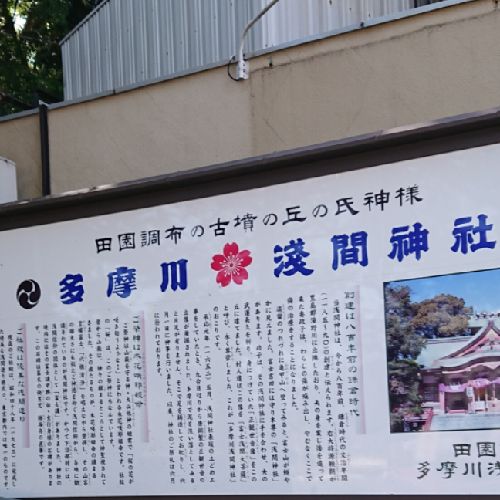 感情的兎姫  👑🏅⛰️🌻🍀❤️🎋🐼のプロフィール画像