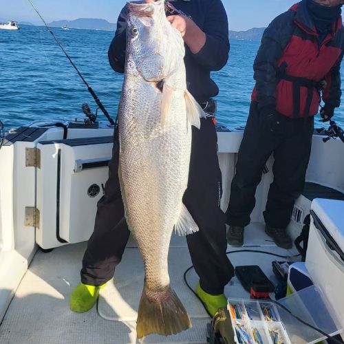 ちゃびん🐰🎺のプロフィール画像