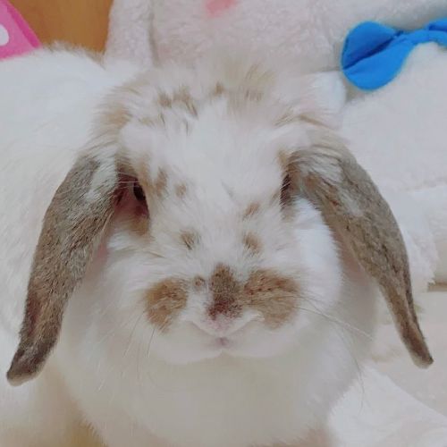 プロフィール写真