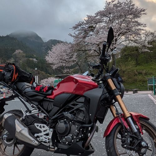 こまいぬのプロフィール画像