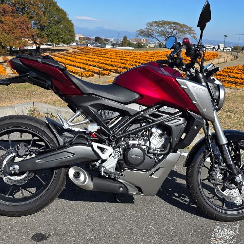 しぇるぱ🐕💜のプロフィール画像