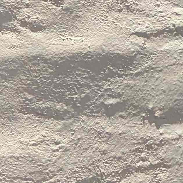 プロフィール写真