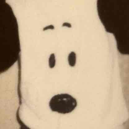 スヌゾロ🧜‍♀️🐼🐴🦩⛄️🐙のプロフィール画像